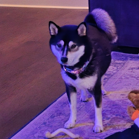 💖 March 16th 9:15 am Est Live Share Show Notification Share 1 LOW START - Picture 7 of 10